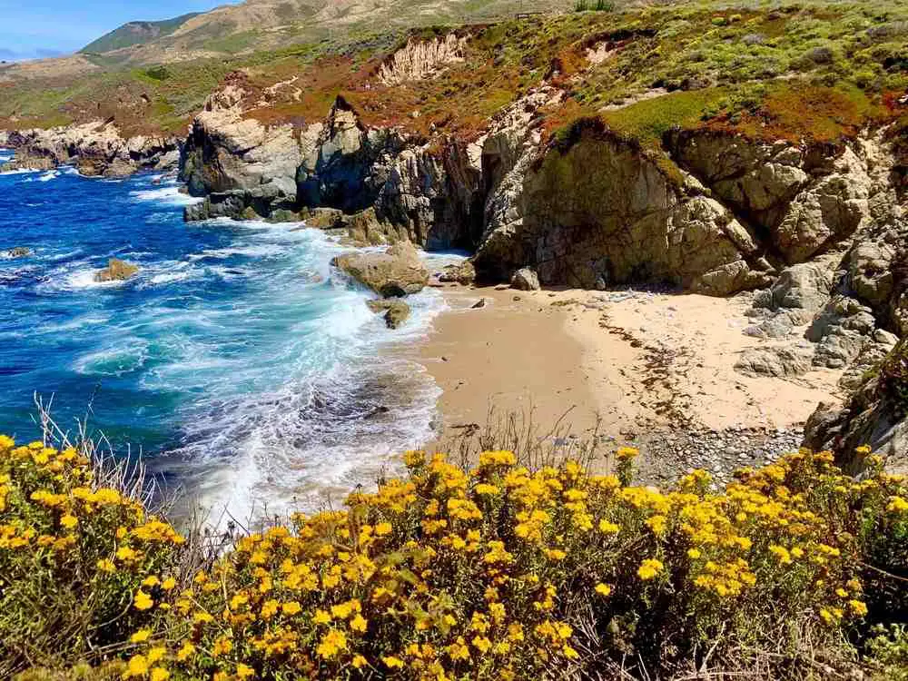 Garrapata Beach