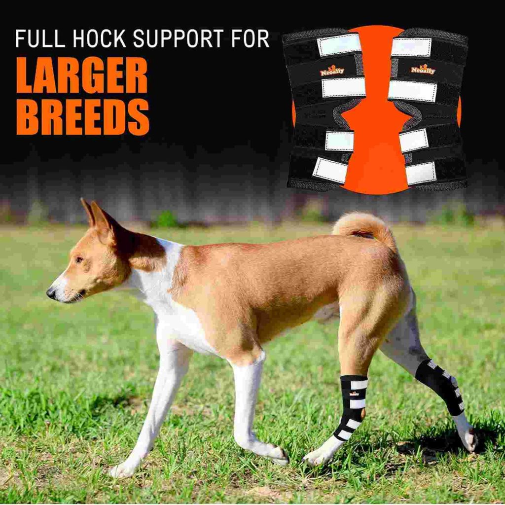 NeoAlly Pair Dog Rear Leg Brace Canine Rear Hock Joint Support