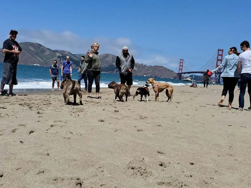 Baker Beach