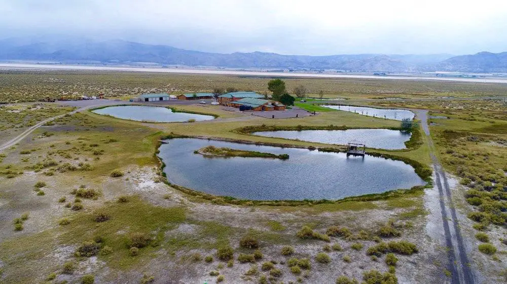 Dog-friendly Hot Springs in California_Surprise Valley Hot Springs