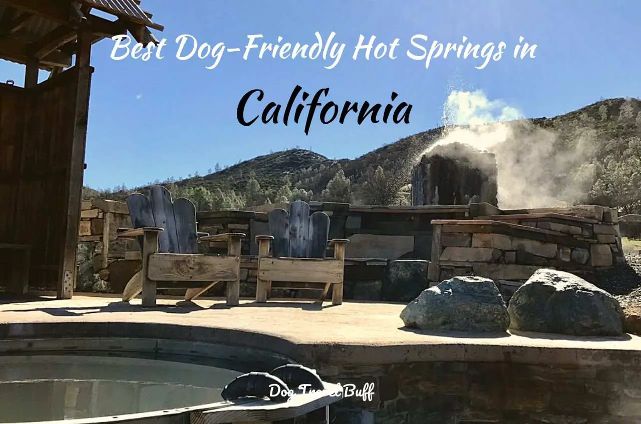 Dog-Friendly Hot Springs in California