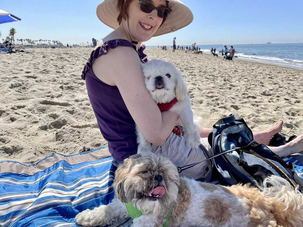 Dog-Friendly Day Trips From Los Angeles _Rosie's Dog Beach
