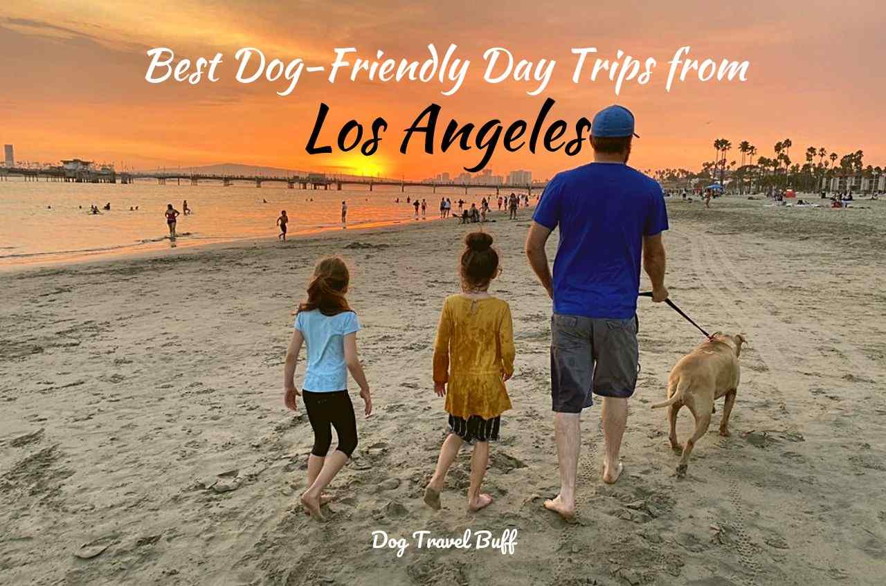 Best Dog-Friendly Day Trips From Los Angeles