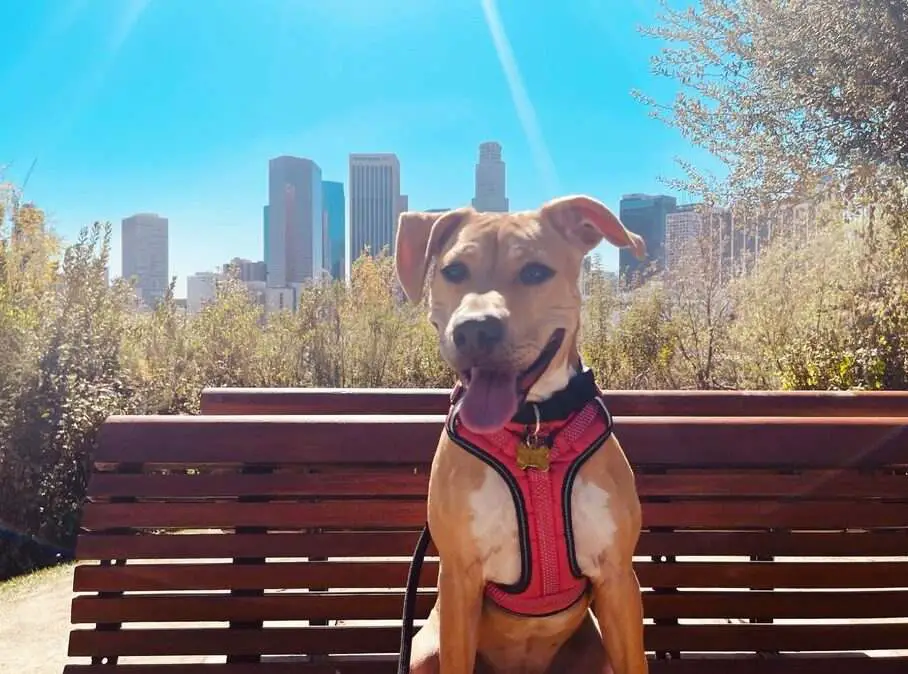 Vista Hermosa Natural Park