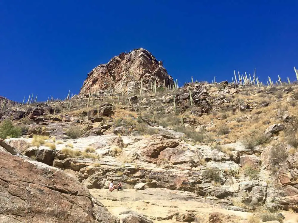 Bear Creek Trail