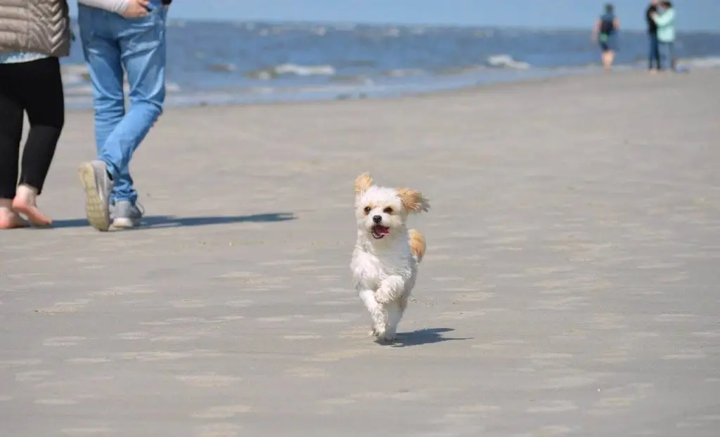 Southport Beach