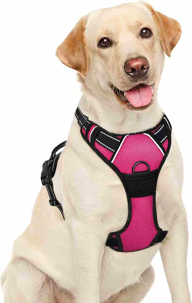 BARKBAY No pull pet harness