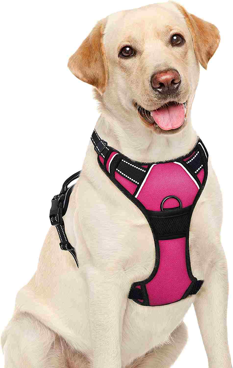 11 Best Dog Vest for Hiking Dog Harness Reviews DogTravelBuff