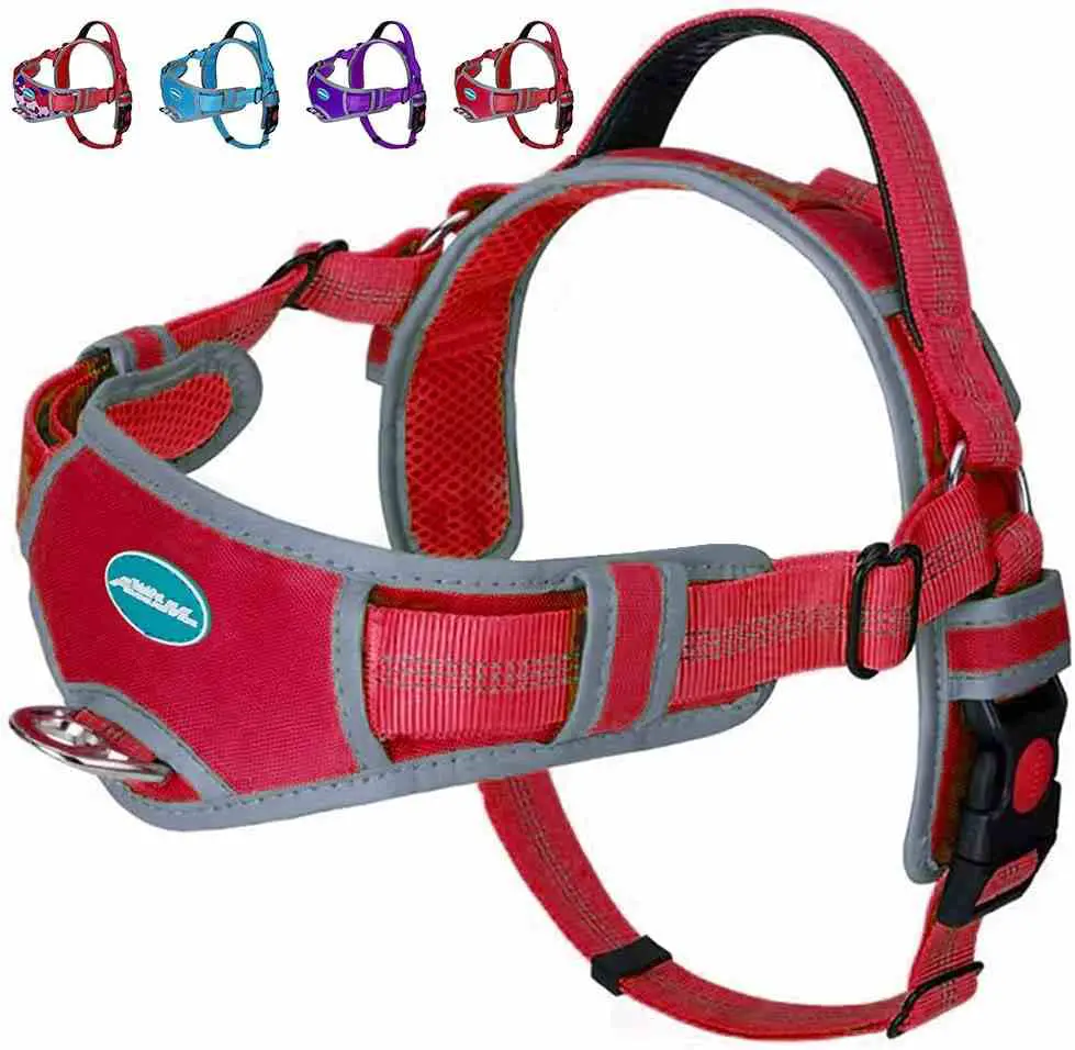 Thinkpet Dog hiking Harness