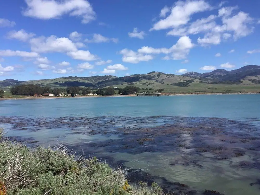 San Simeon Point Trail