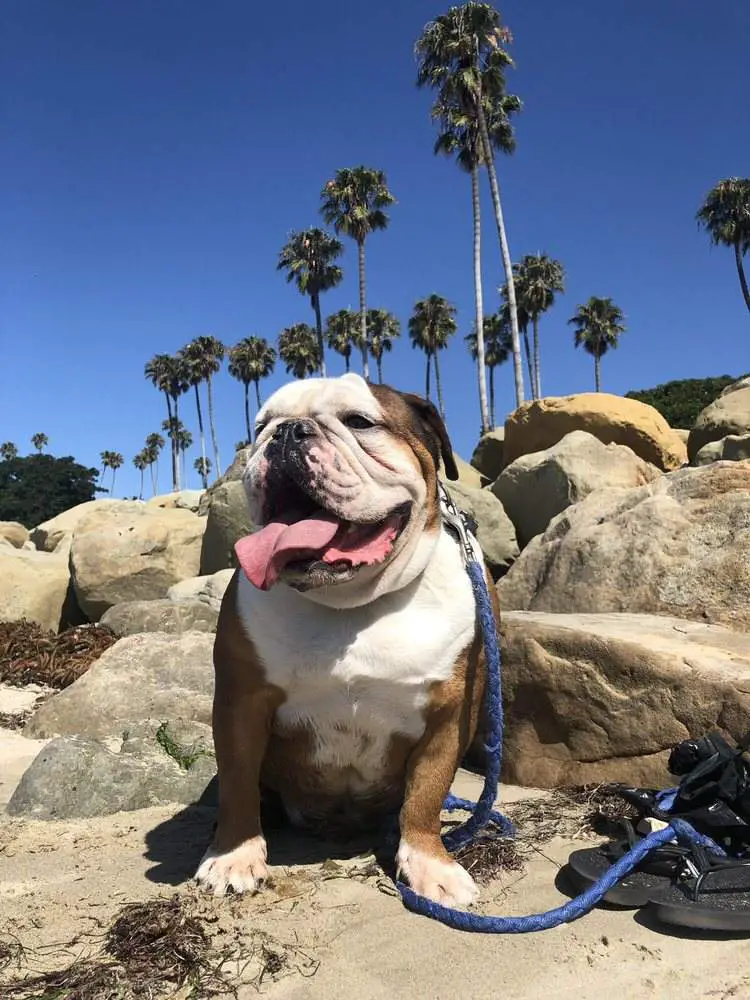 Goleta Beach County Park