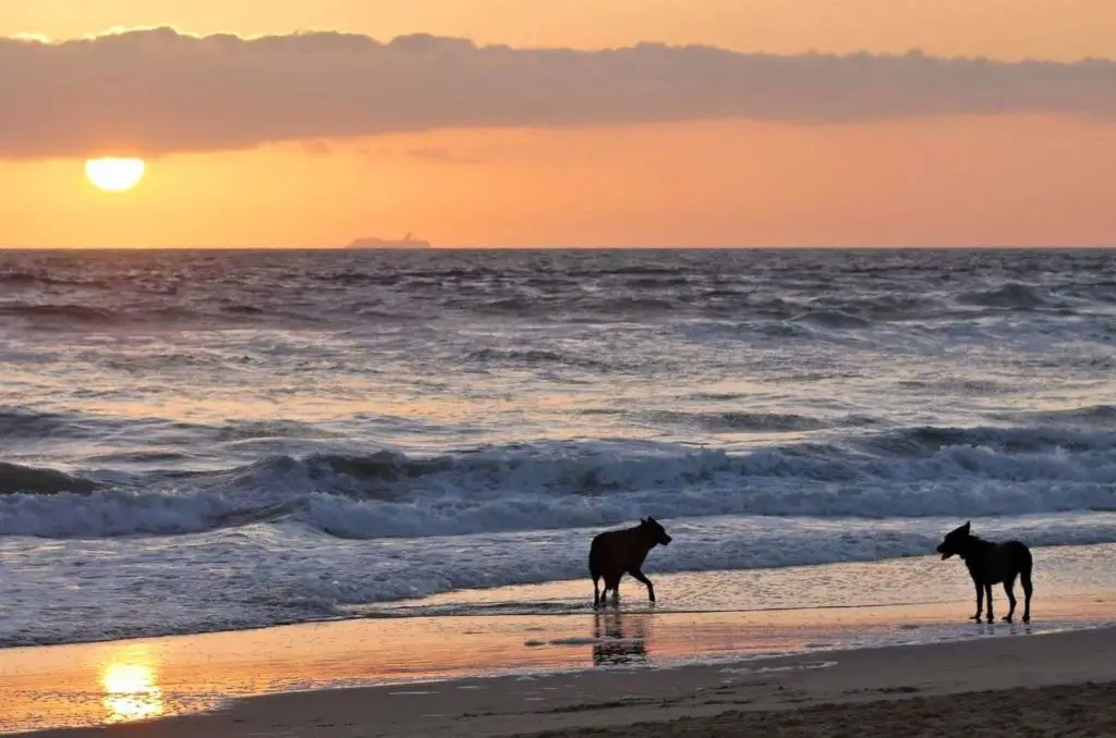 Summerland Beach