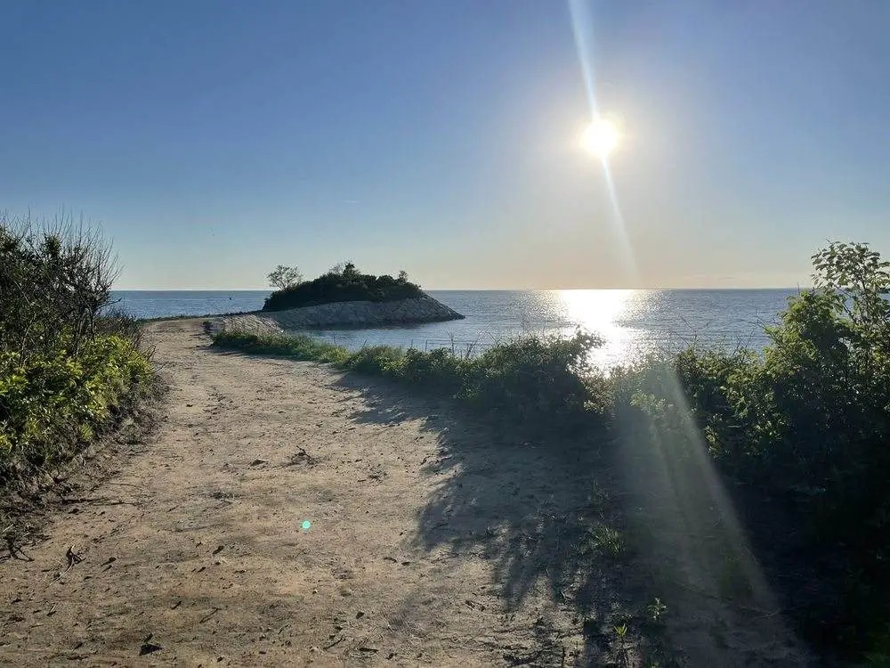 Dog-Friendly Beaches On Cape Cod_The Knob