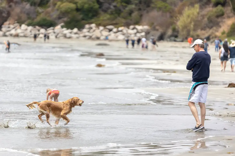 Cayucos State Beach