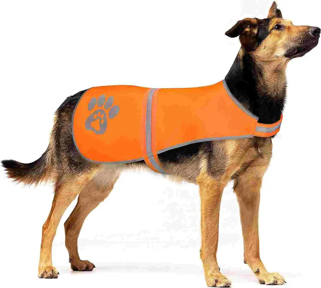 SPOFLY Reflective Safety Dog Vest