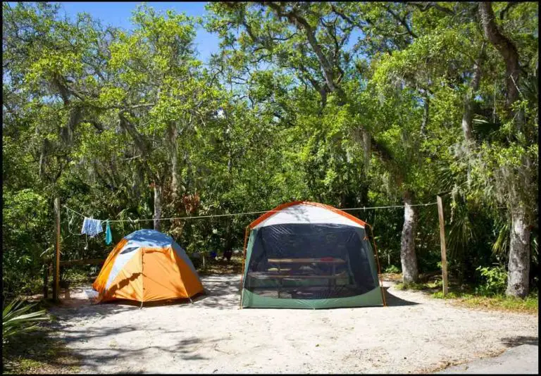 Guide to 8 Dog-Friendly Camping in Florida: DogTravelBuff