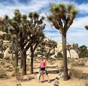 where are dogs allowed in joshua tree