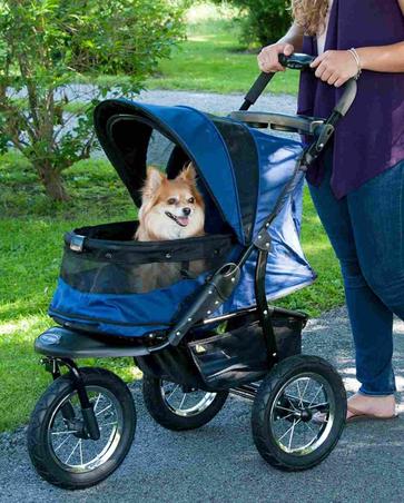 what is the best dog jogging stroller