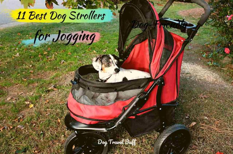 11 Best Dog Strollers for Jogging in 2022(Buying Guide+Review)