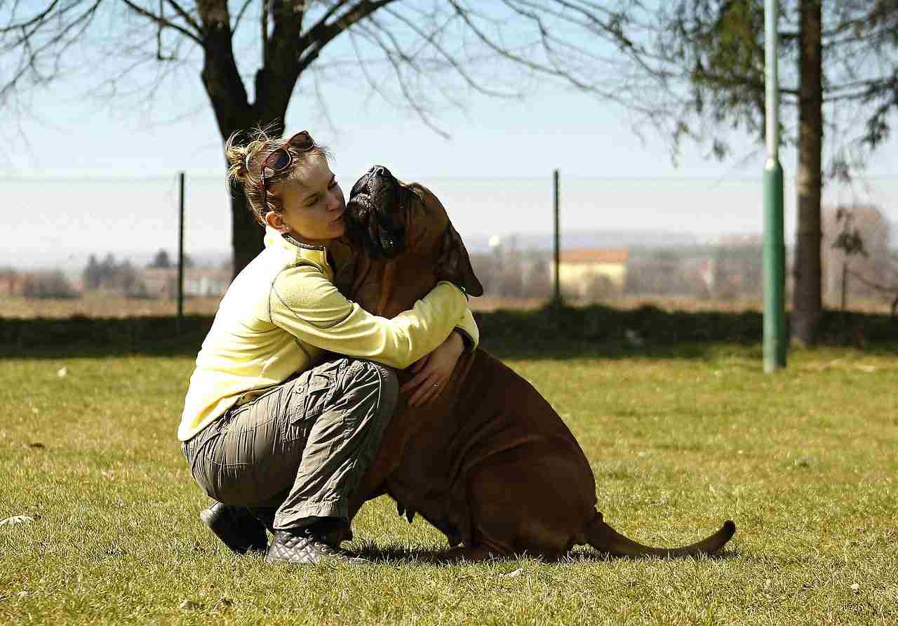 11 Tips For How To Calm Down A Puppy: A Step By Step Guide