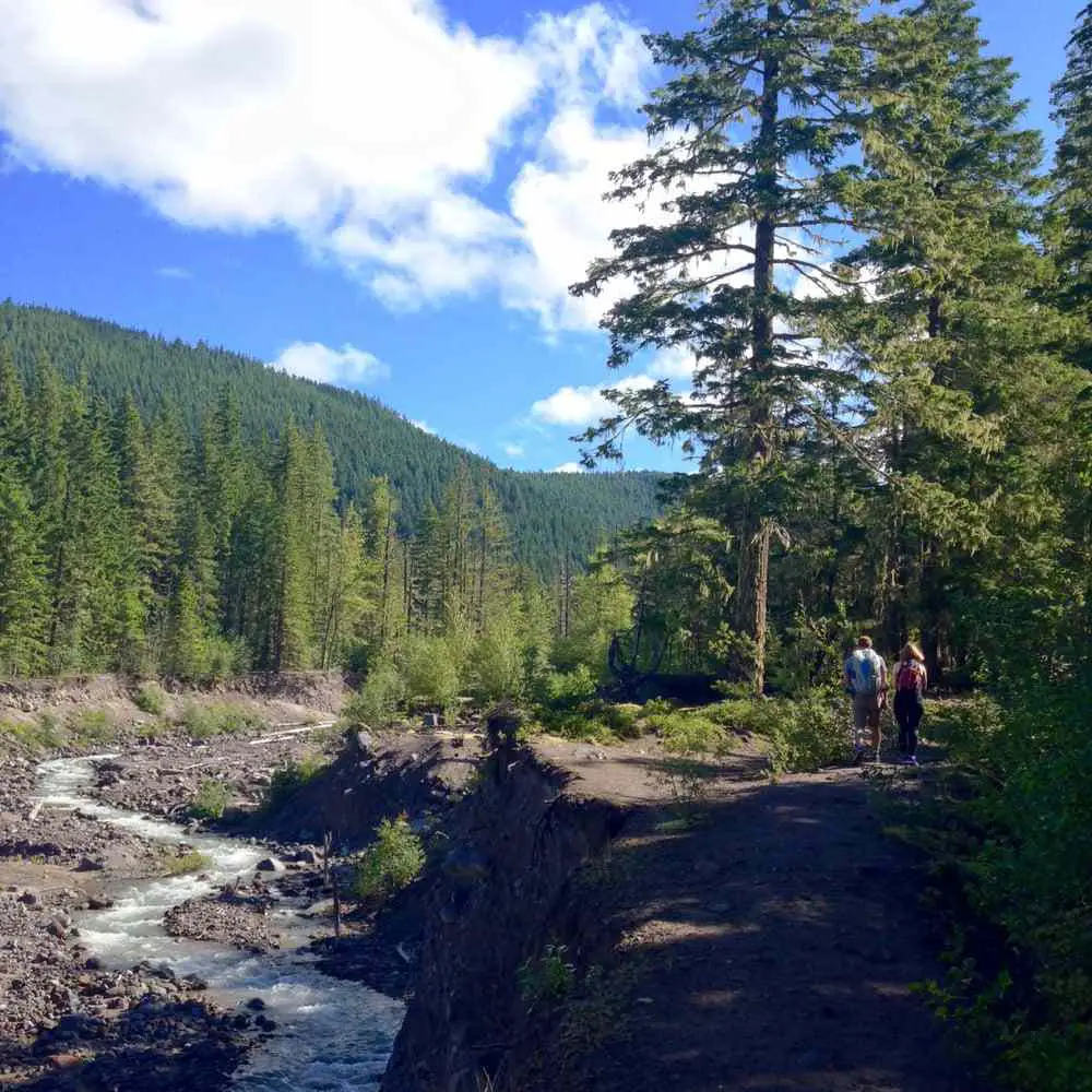 Ramona Falls Trail