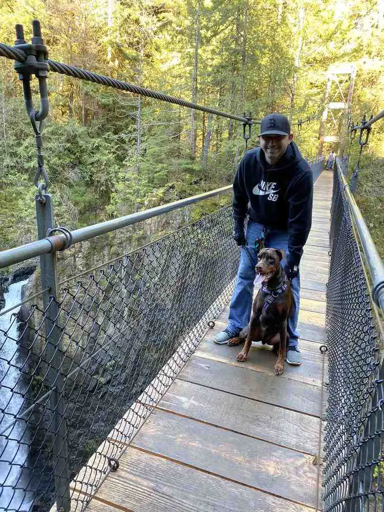 Best Pet-Friendly Hikes In Oregon_Drift Creek Falls Trail