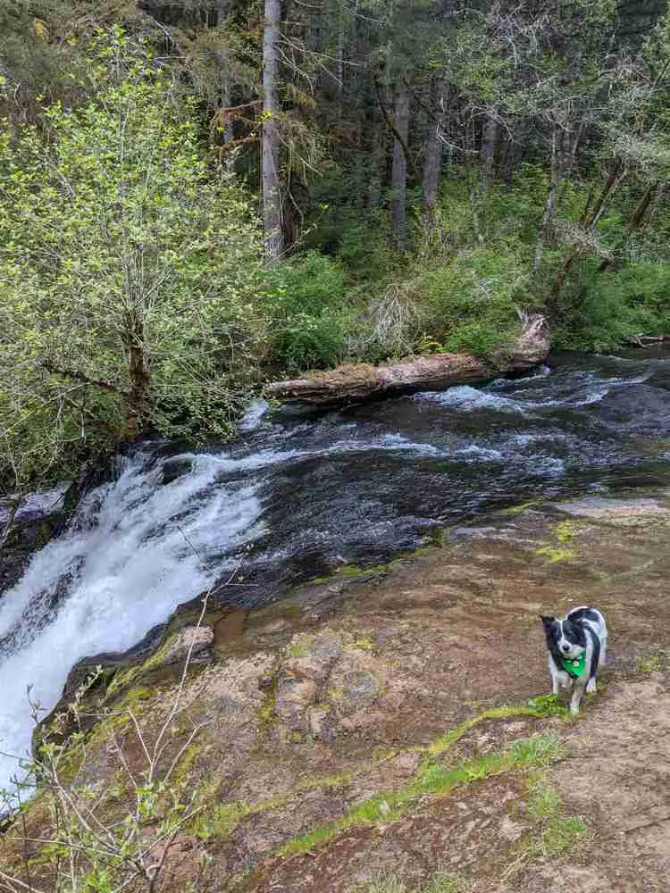 Alsea Falls and Green Peak Falls Trail