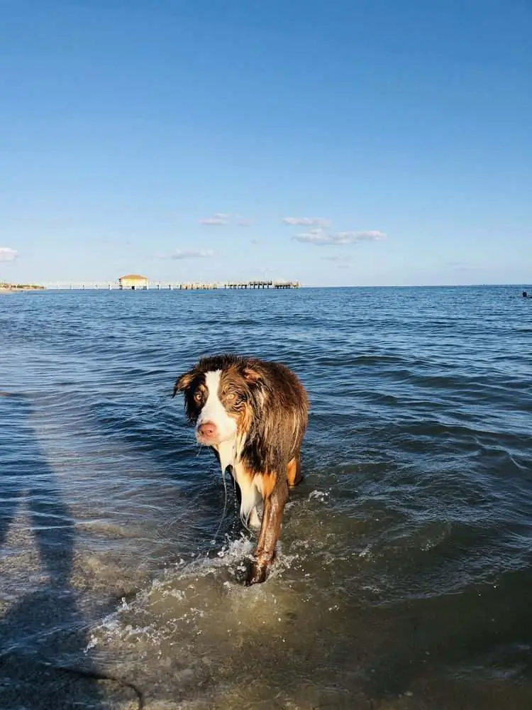 Fort DeSoto State Park