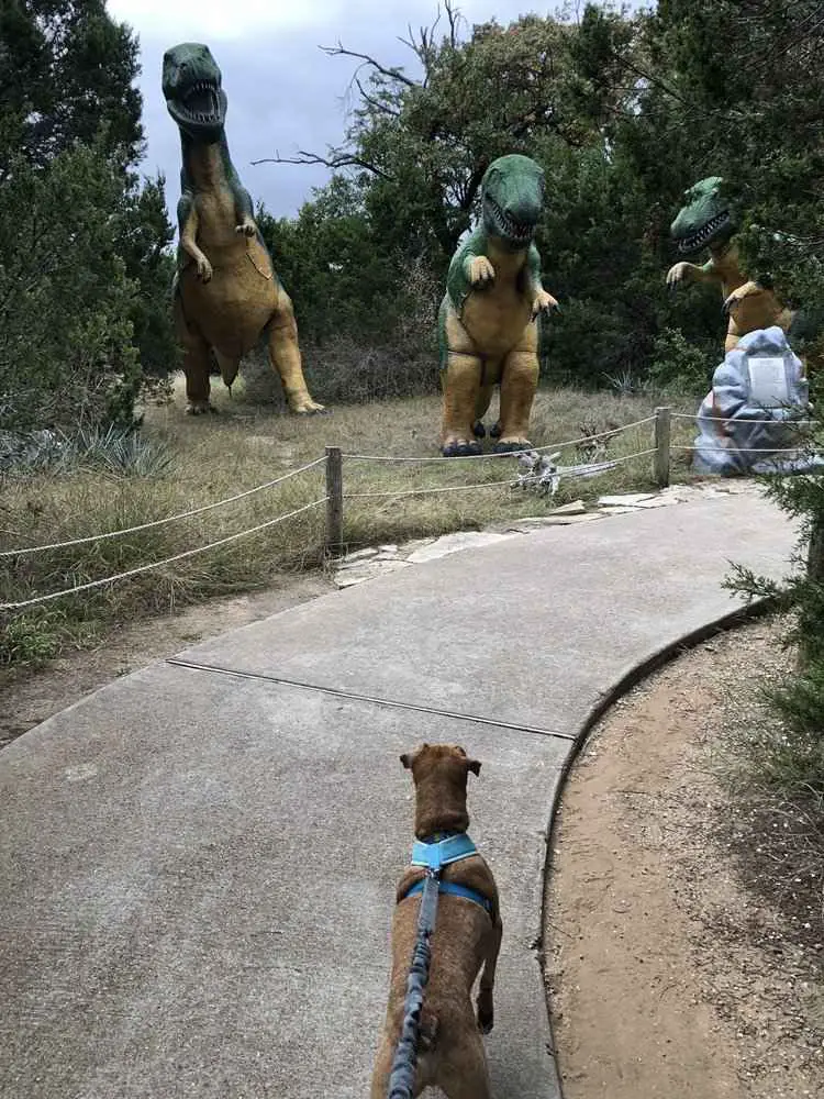 Pet friendly vacation in Texas_Dinosaur World