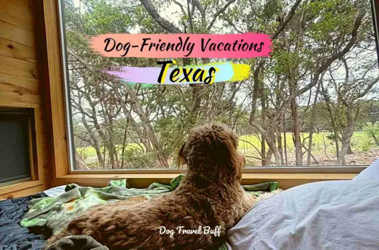 9 Best Dog-Friendly Vacations in Texas With Pet Travel Tips