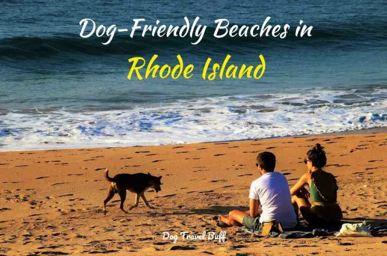 9 Best Dog-Friendly Beaches in Rhode Island