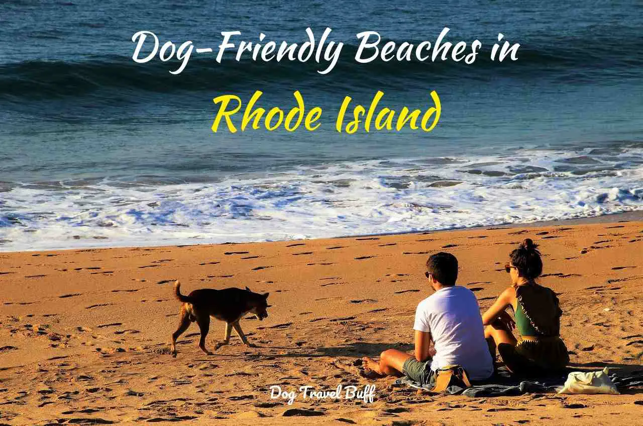 Dog-Friendly Beaches in Rhode Island