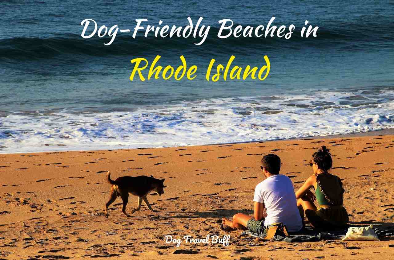 9 Best Dog-Friendly Beaches in Rhode Island - DogTravelBuff