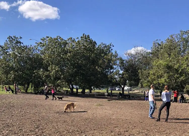 Norwood Estates Dog Park