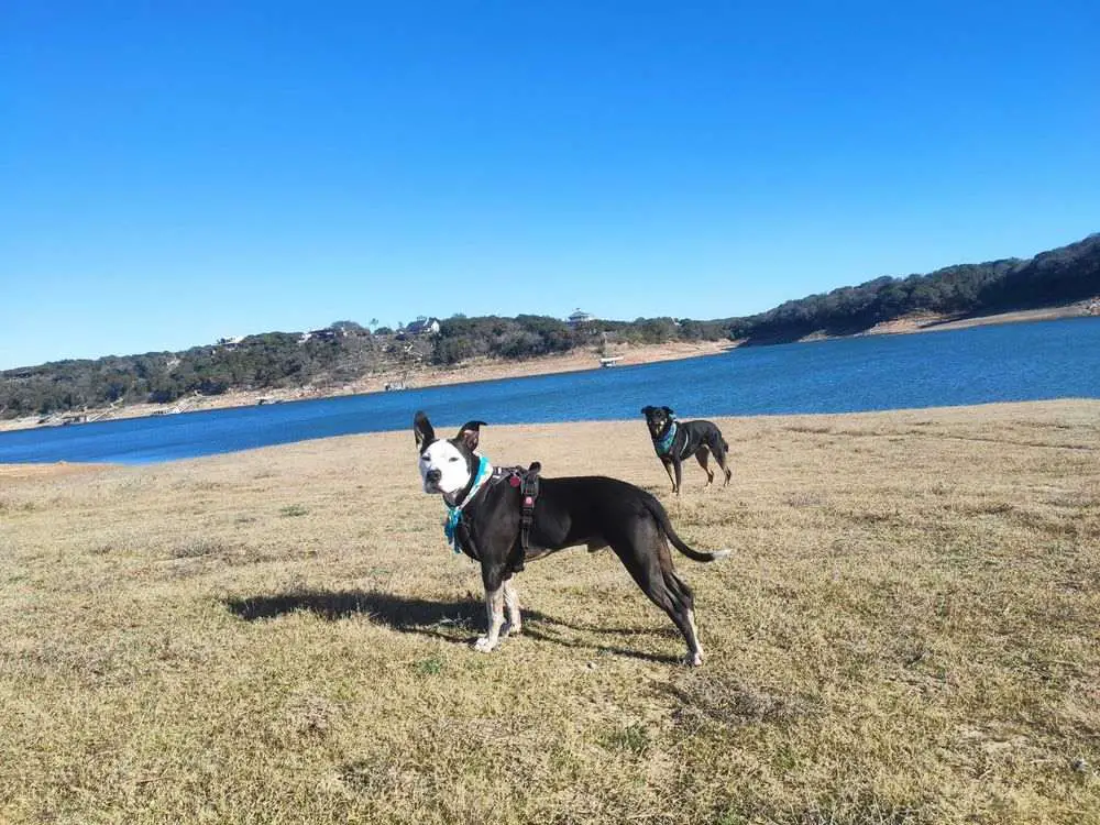 Barton Creek Greenbelt