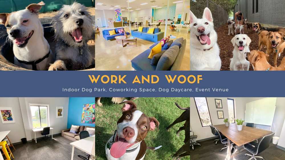 Work and Woof