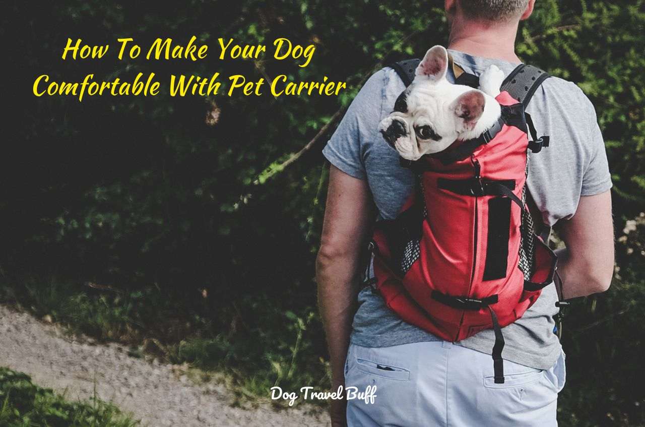 How To Make Your Dog Comfortable With Pet Carrier