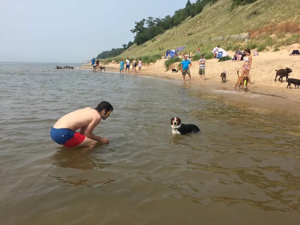 Kirk Park Dog Beach