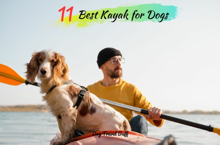 11 Best Kayak For Dogs: Types, Buying Guide, Review [2023]