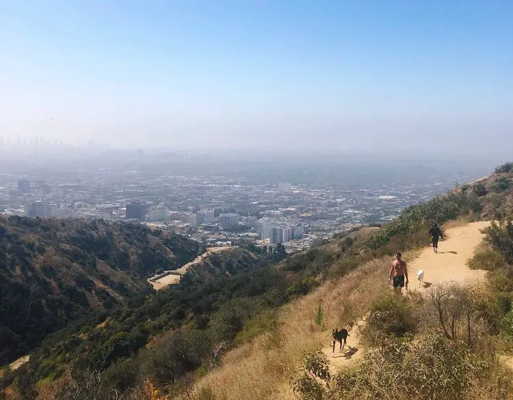 Runyon Canyon