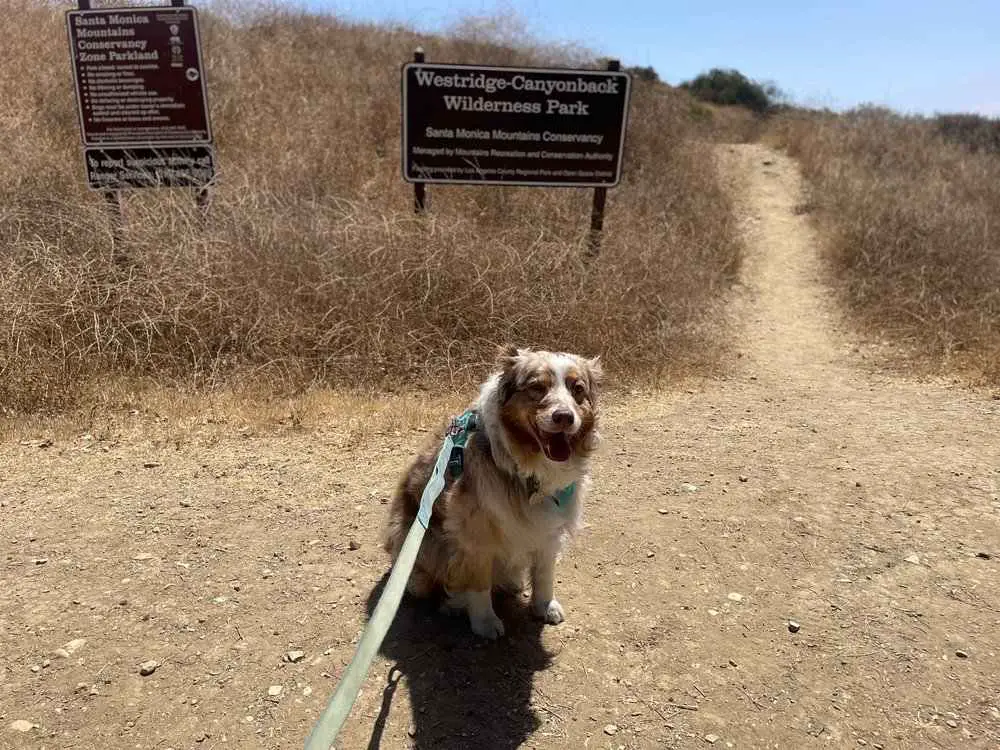 Upper Canyon Back Trail