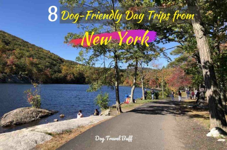 Dog-Friendly Day Trips From NYC
