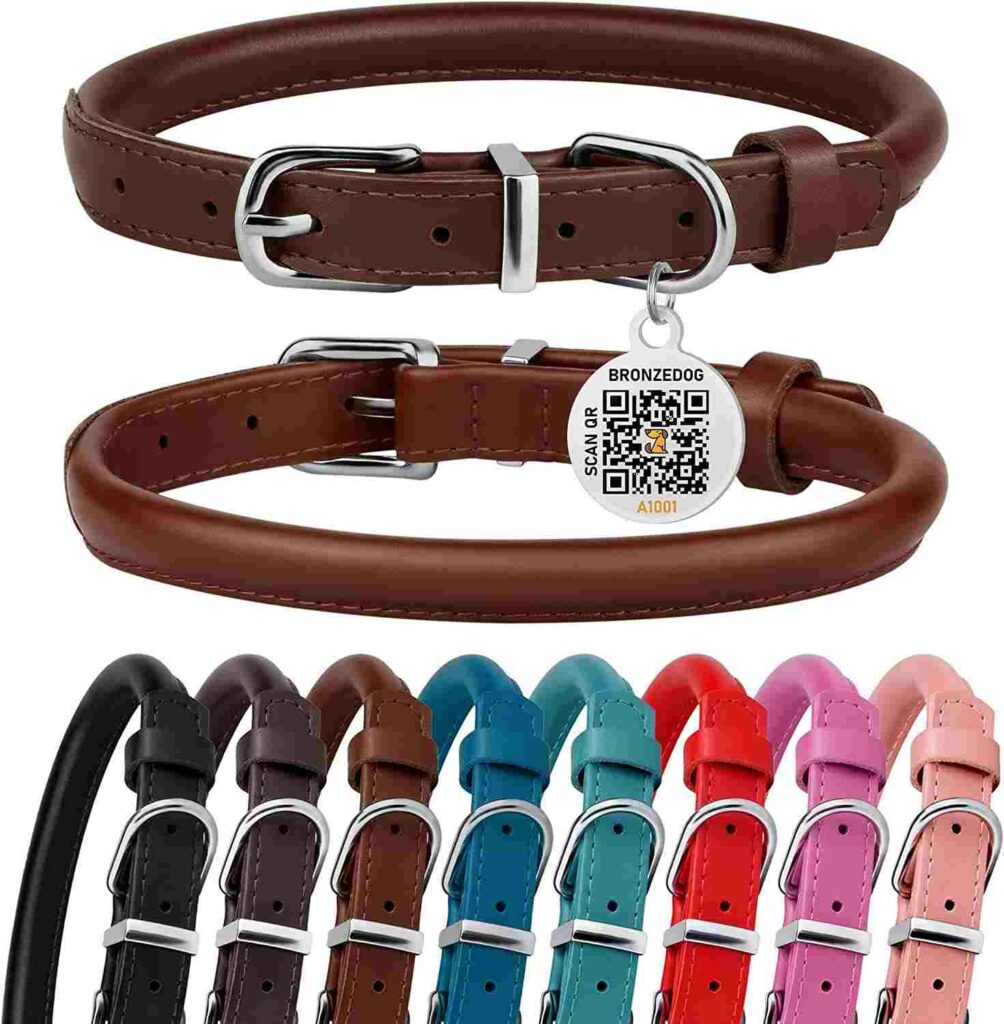 Best Collars for Long Haired Dogs_BRONZEDOG Rolled Leather Dog Collar