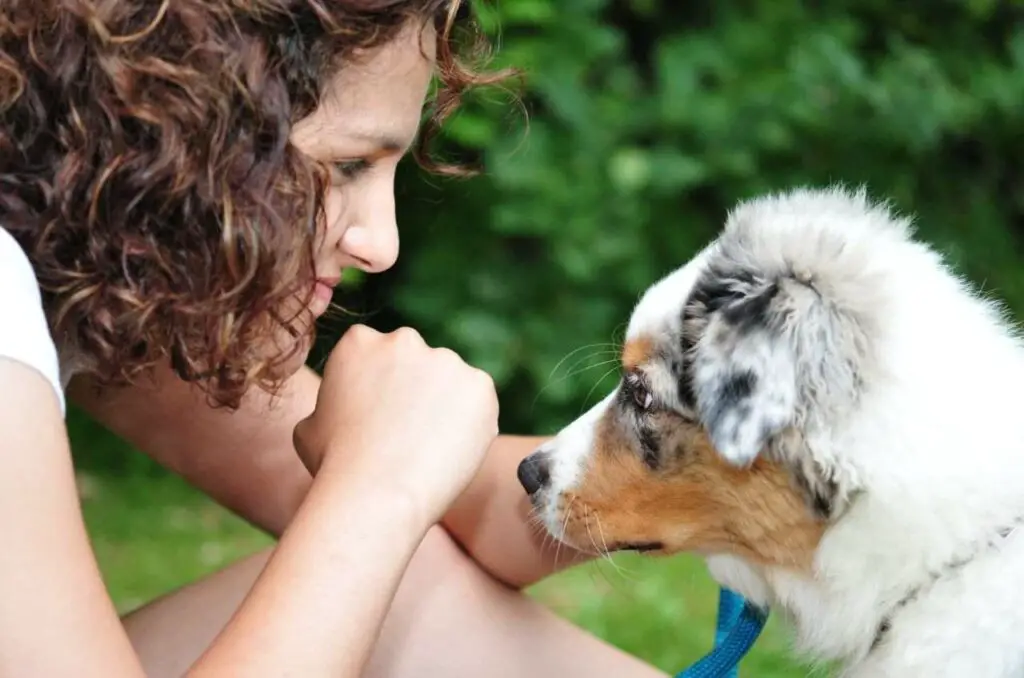 Why your dog sniffs your ears