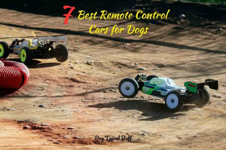 7 Best Remote Control Cars for Dogs: From Chasing to Racing