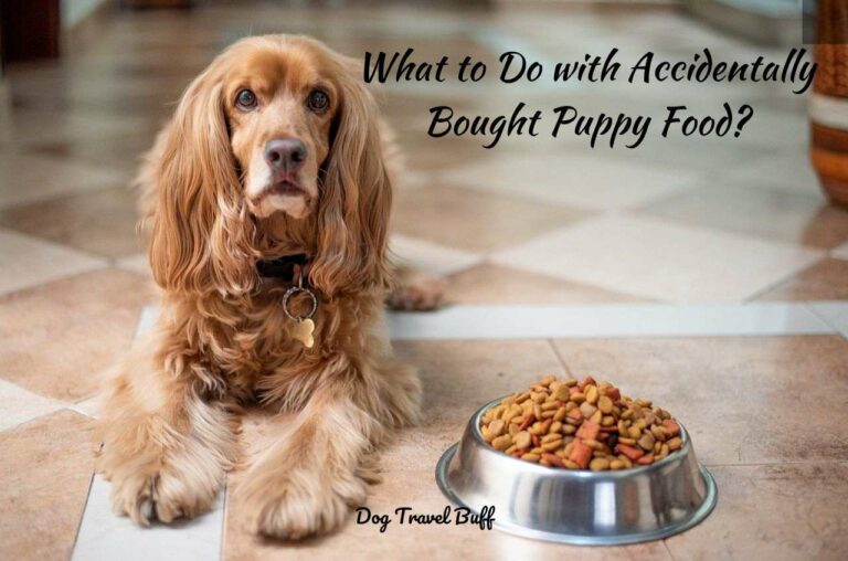I Accidentally Bought Puppy Food: Things To Do With It