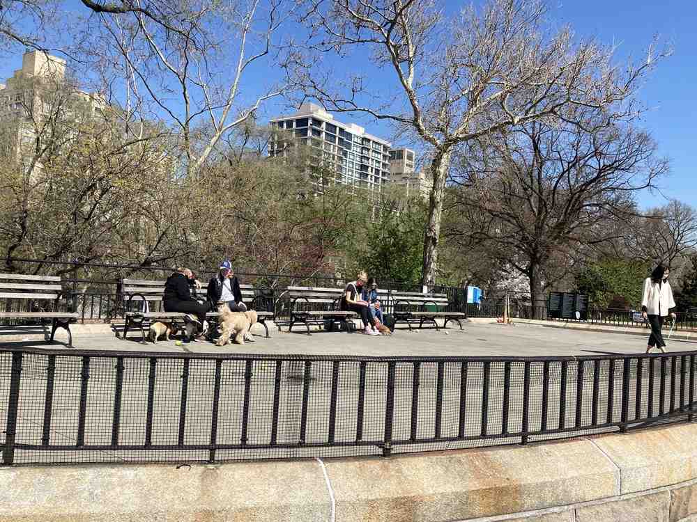 Dog Parks on Upper East Side_Carl Schurz Park Dog Run
