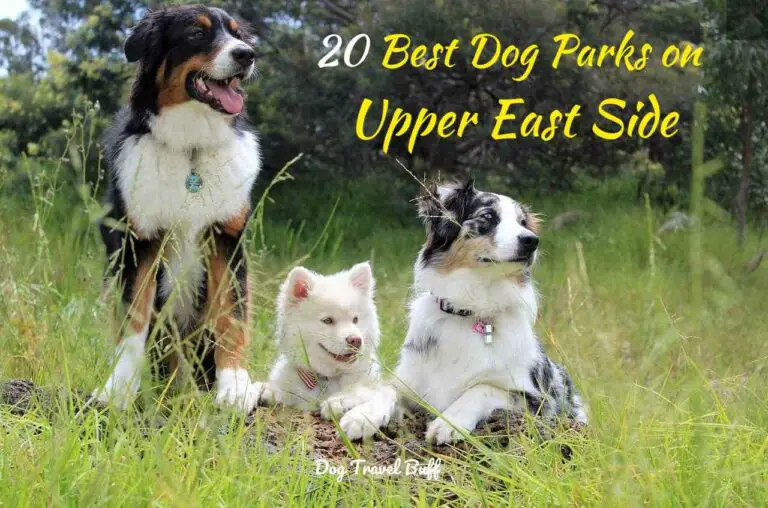 Discover 20 Best Dog Parks on Upper East Side: Unleash Happiness