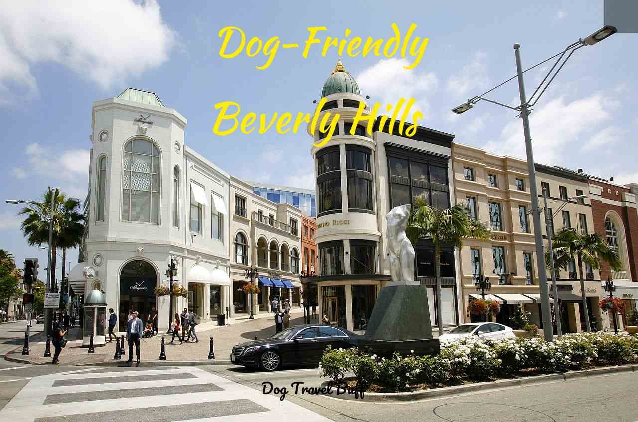 dog friendly beverly hills