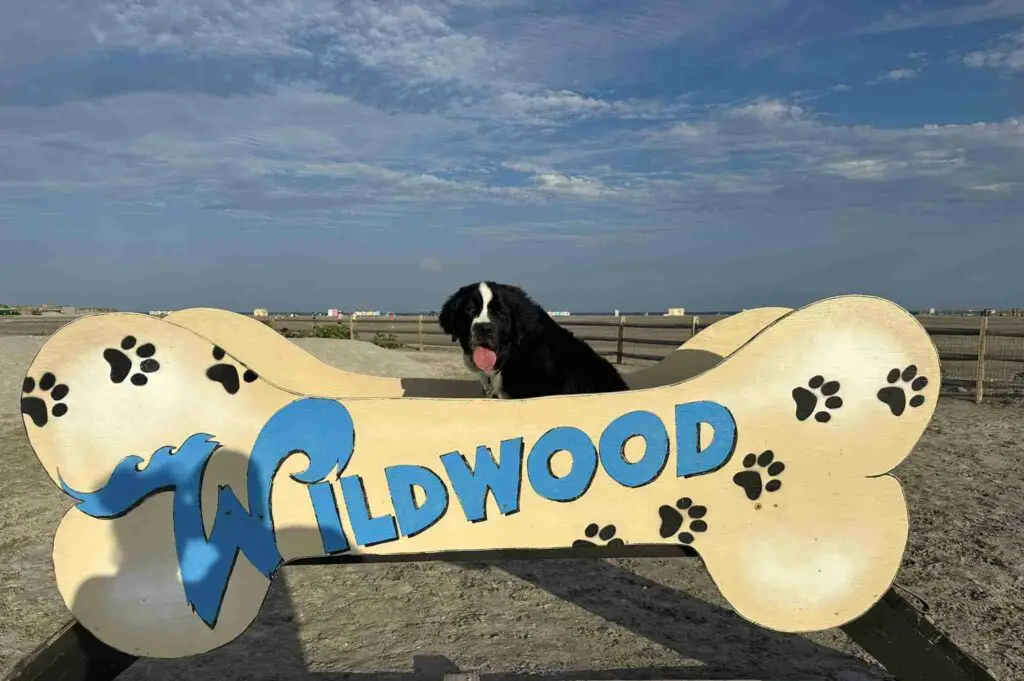 Wildwood Dog Park & Beach
